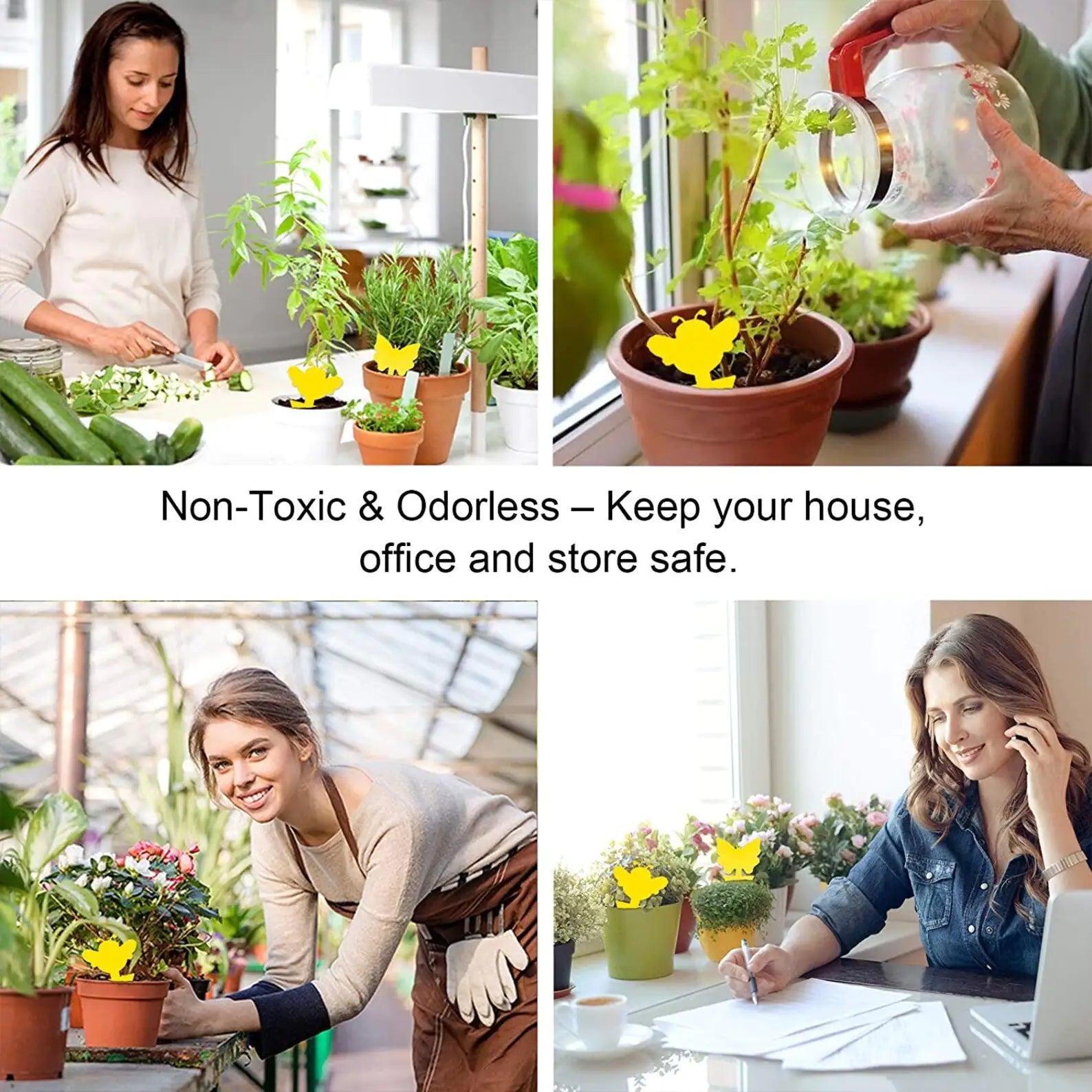 Sticky Fruit Fly Traps, 18 pcs, 48 pcs Fungus Gnat Killer Trap use for Indoor Outdoor Non-Toxic