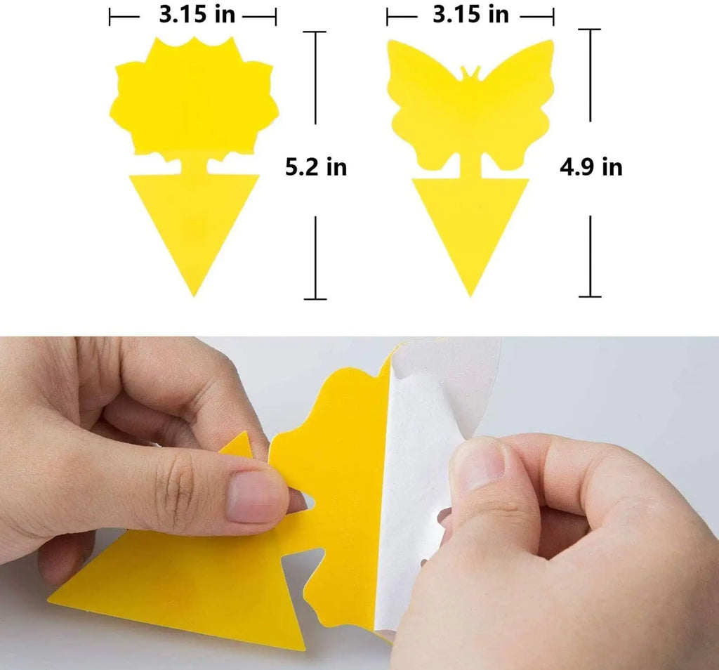 Sticky Fruit Fly Traps, 18 pcs, 48 pcs Fungus Gnat Killer Trap use for Indoor Outdoor Non-Toxic